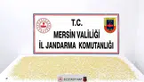 Jandarma Takibe Aldı, Zehir Tacirini Kıskıvrak Yakaladı: 1 Tutuklama