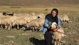 Çobanlık Yapan Özlem’in Hayali Kendi İşinin Patronu Olmak