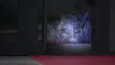 Siteyi Basan Yaban Domuzu Polisin Operasyonuyla Vuruldu