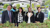 Sürdürülebilir Tarım İçin 2 Bin Ata Tohumu Fide Dağıtıldı!