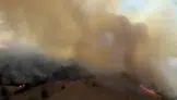 Yeniköy Mahallesi Kabusu Yaşıyor! Alevler Ormanlık Alanı Sardı, Seferberlik Başlatıldı!