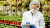İthal edilecek ürünlerde Tarım Bakanlığı kontrolü düzenlendi