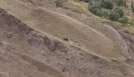 Sivas’tan Nuh’un Gemisi Araştırmasına Bilimsel Dokunuş! Radar Taramasında Dikkat Çeken Bulgular