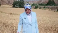 Rukiye Toy Sivas’ta Yılın İlk Hasadına Katıldı