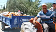 Türkiye'de Korkutan Ekmek İsrafı: Günde 6 Milyon Adet Çöpe Gidiyor