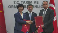 Türkiye'nin Defne Yaprağı İhracatı 60 Milyon Dolara Ulaştı