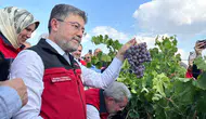 Üzüm Üretiminde Tarihi Rekor: Bakan Yumaklı Açıkladı