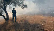 Bodrum-Milas Karayolunda Ot Yangını Ekipleri Harekete Geçirdi
