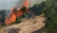 Dibekli Köyü Yakınlarında Yangın! Soğutma Çalışmaları Sürüyor