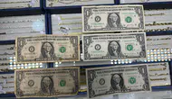 Alihan Kuriş Soruşturmasında F Serisi 1 Dolarlık Banknotlar Bulundu
