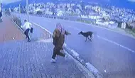 Köpek Üzerlerine Koştu! Küçük Çocuğun Kaçışı Hastanede Bitti