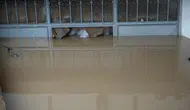 Evler ve Depolar Sular Altında: Milyonluk Zarar Var!