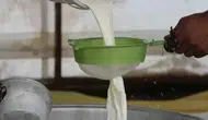 Çiğ süt desteğine yeni düzenleme!