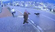 Durakta Köpek Saldırısı Dehşeti: 11 Yaşındaki Çocuk Yaralandı