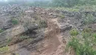 Tır Dorsesi Toprak Kaymasında Zarar Gördü