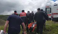 İmranlı’da Ayı Saldırısı: Yaralı Hastaneye Kaldırıldı