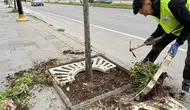 Sivas Belediyesi’nden Yeşil Alanlarda Yoğun Mesai