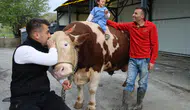 Sivas’ta 1 Tonluk Dev Tosun “Poyraz” 500 Bin TL’den Alıcısını Bekliyor