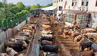 Sokakta kurban kesip, atıklarını gömenlere ağır cezalar kesilecek