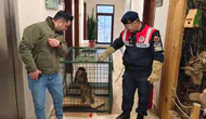 Köy Yolunda Hint Şebeği Bulundu: Ekipler Seferber Oldu