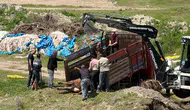 Mezbahaneden Kaçan Tosun Kovalamaca Sonunda Yakalandı