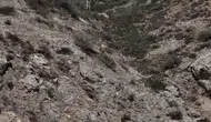 Sivas’ta Mantar Toplamaya Giden Şahıs Kayboldu!