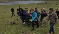 AFAD ve Jandarma Zorlu Arazide Yaralıya Ulaşmaya Çalıştı