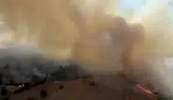Yeniköy Mahallesi Kabusu Yaşıyor! Alevler Ormanlık Alanı Sardı, Seferberlik Başlatıldı!