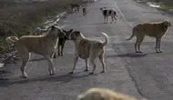 Bakanlık ihlalleri affetmedi! 3 belediye başkanına soruşturma izni