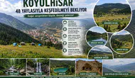 48 Yaylası Var Ama Değer Görmüyor: Koyulhisar Turizmde Neden Geri Planda Kaldı?
