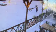 Sandalyelerle Vurdular Yine de Durduramadılar! Tesis Basan Köpek Dehşeti