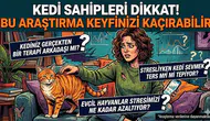 Kedi Sahipleri Dikkat! Bu Araştırma Keyfinizi Kaçırabilir