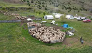 Geleneksel Erzincan Tulum Peyniri Çocuklara Emanet