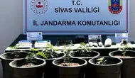 Sivas’ta Uyuşturucu Operasyonu: 5 Şüpheli Gözaltına Alındı