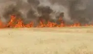 Şanlıurfa'da Korkutan Yangın! Dönümlerce Ekili Alan Bir Anda Küle Döndü