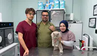 Veterinerde “deprem” etkisi: Sokak kedisi kliniği birbirine kattı