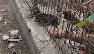 Kırıkkale'de İtfaiyeciden Vatandaşa Olay Yanıt! "İşimizi Yapalım"
