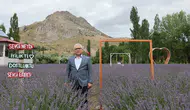Vali Yılmaz Şimşek, Tecer Dağı'ndaki Lavanta Bahçesini Ziyaret Etti