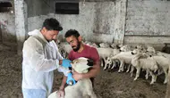 Suşehri'nde "Kırsalda Bereket Küçükbaşa Destek Projesi" Kapsamında Teslim Edilen Hayvanlar Kontrol Edildi