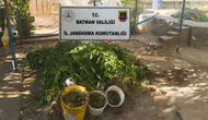 Batman'da Dev Kaçakçılık Darbesi Yol Kontrolünde Onlarca Şüpheli