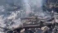 Düzce'de Korkutan Anız Yangını Alevler Ormanlık Alana Dayanmadan Söndü