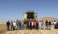 Sivas’ta ilk kez toprakla buluşturulan 5 farklı çeşit buğday hasat edildi
