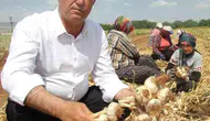 Çiftçiden Sert Çıkış! "Artık Bir Tercih Değil Zorunluluktur!