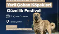 Kangal Çoban Köpekleri Güzellik Festivali İçin Başvurular Başladı