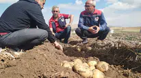 Sivas’ta Tarımsal Üretim İçin İyi Tarım Denetimleri Sürüyor