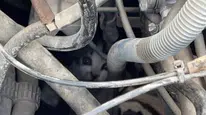 Sivas’ta Motor Aksamına Sıkışan Yavru Kedi İtfaiye Ekiplerince Kurtarıldı