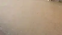 Bozcaada’da sağanak yağış felaketi! Sokaklar göle döndü, hayat durma noktasına geldi