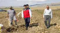 Sivas Altınyayla’da Patates Hasadı ve Pancar Sökümü Yapıldı