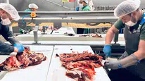 Sivas Belediyesi Hayat Ağacı Derneği Kurban Bağışlarını İhtiyaç Sahiplerine Ulaştırıyor