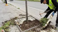 Sivas Belediyesi’nden Yeşil Alanlarda Yoğun Mesai